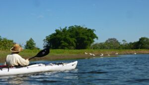 White Kayak and white birds going up a river in Panama