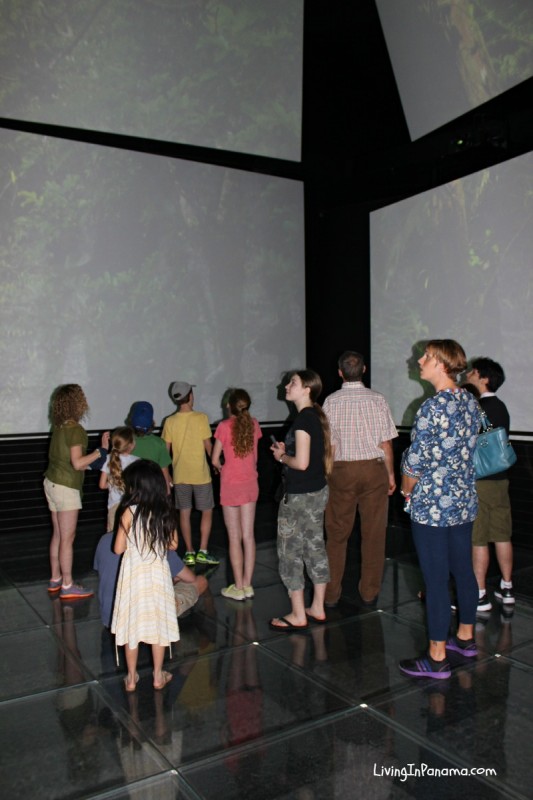 group of people watching 360 degree AV show