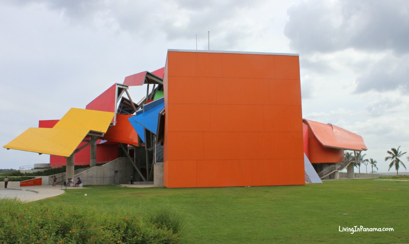 yet another-view-biomueso