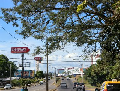 Highway photo with tall signs, cars, and trees.