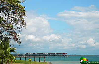 blue sky and ocean with pier in distance