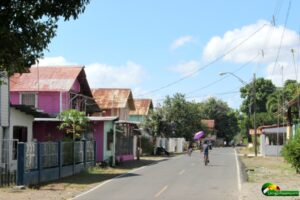 row of house bordering a paved road with people walking and biking