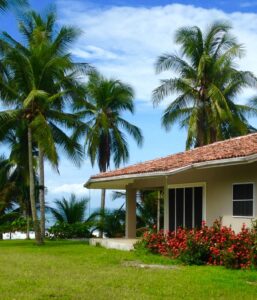 Adobe style house on green lawn with palm trees