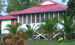 Tropical house with red metal roof and palm trees in the yard