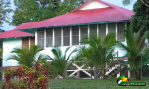 green colored tropical house with red metal roof