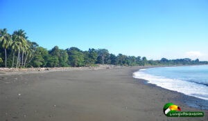 Long beach view with trees and houses in distance