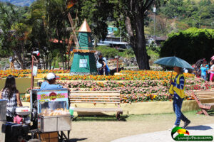 decorative windmill, popcorn vendor, bench, and flowers