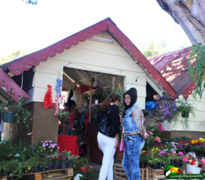 small cottages, shoppers, plants for sale