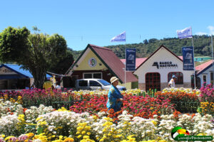 small shops, flower displays and walkers
