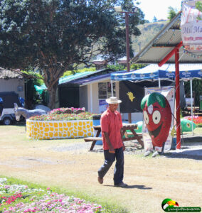 Cartoon strawberry and man walking by