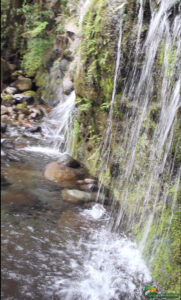water falling over moss covered rocks into river