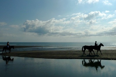 walking & riding horses on the beach