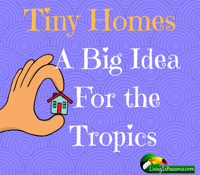 image of hand holding tiny house on purple background