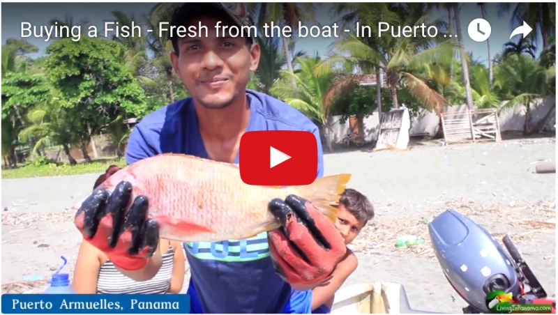 video screenshot of man in boat holding a fish