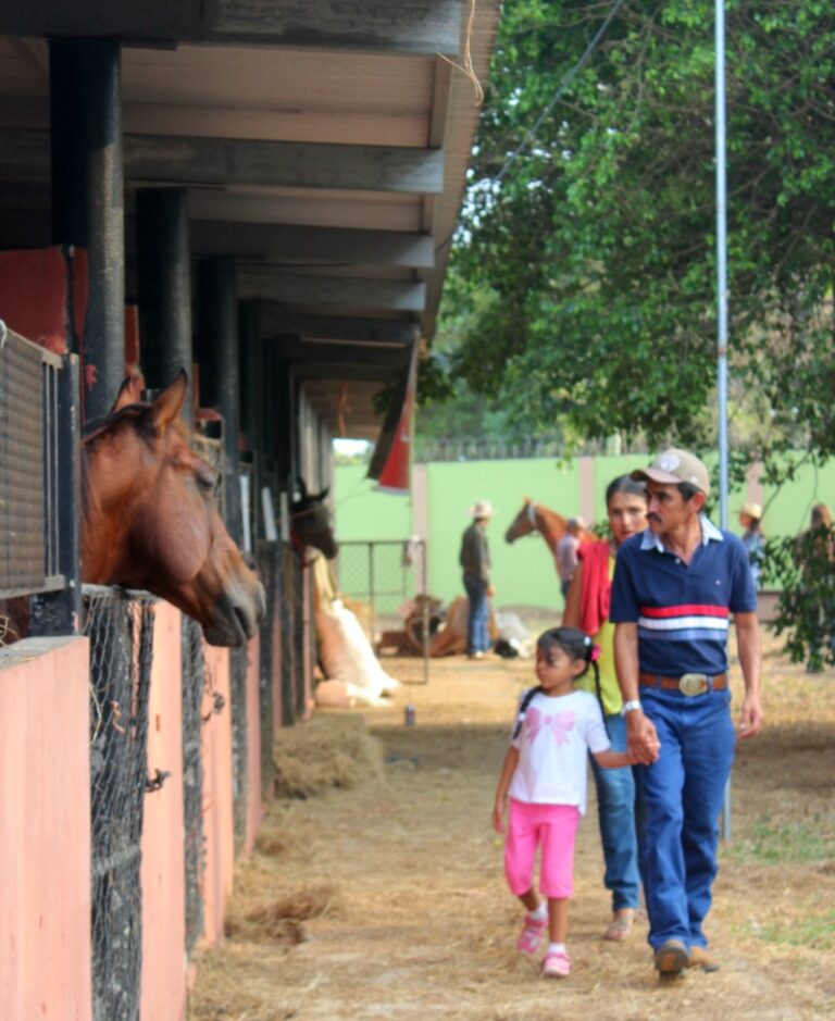 family walking by horses in horse stalls