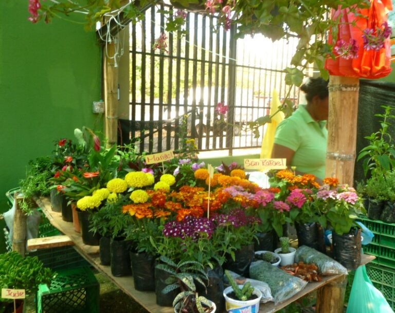 flowers on table for sale