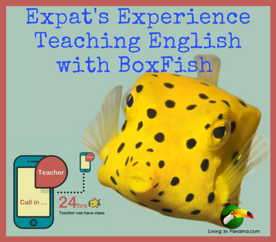 graphic with photo of a boxfish and icon of 2 iphones and text