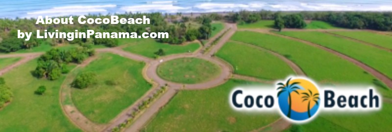 Aerial photo of CocoBeach lots with text
