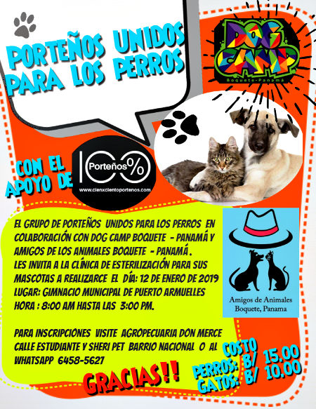 Help The Animals of Puerto Armuelles