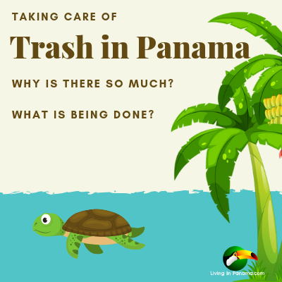 Trash in Panama – Why So Much Litter & How It Is Changing