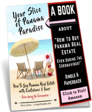 your slice of panama book thumbnail