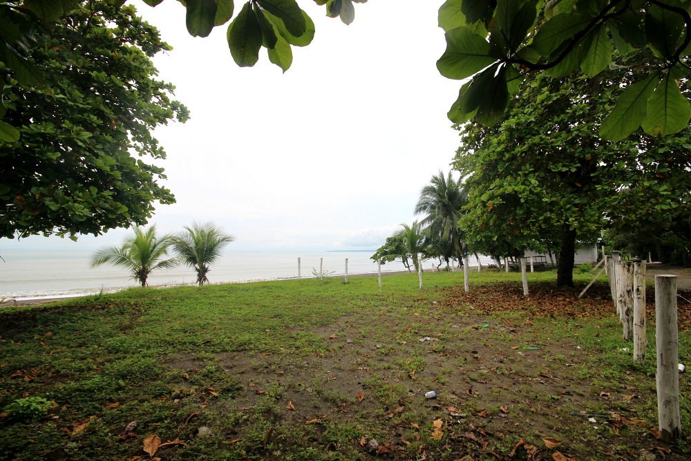 Start Your Dream Life Here