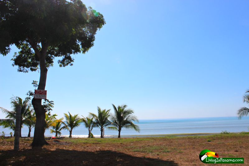 A Gem of A Beachfront Lot For You
