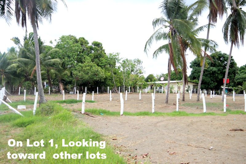 Beachfront At Puerto Armuelles’ Playa Esperanza Community