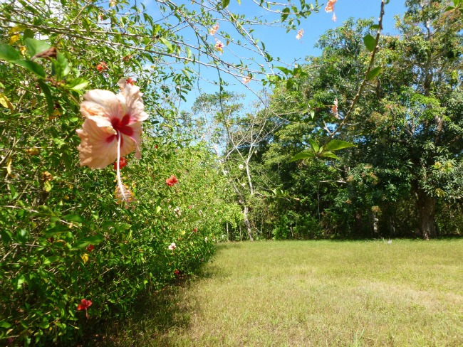 Most Beautiful Beach Property In Puerto Armuelles – Corazon de Oro