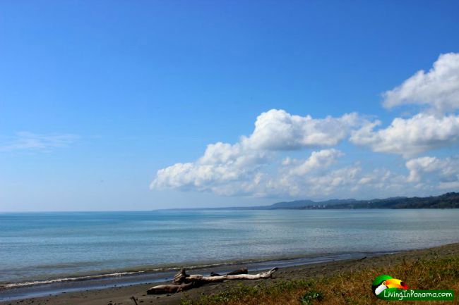 beach, drift wood, ocean, blue sky and white clouds