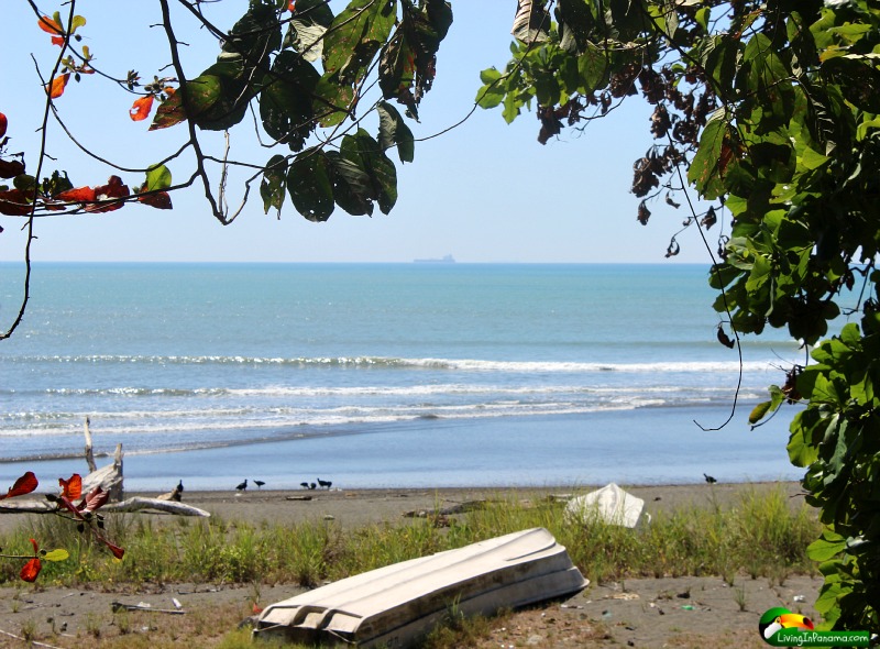 Four Beautiful Beach Properties