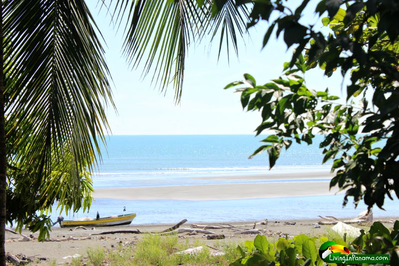 Four Beautiful Beach Properties