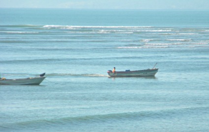 Four Beautiful Beach Properties