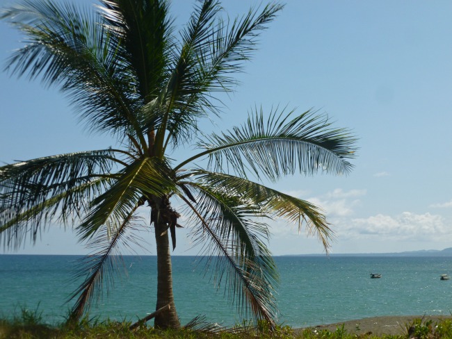 Most Beautiful Beach Property In Puerto Armuelles – Corazon de Oro