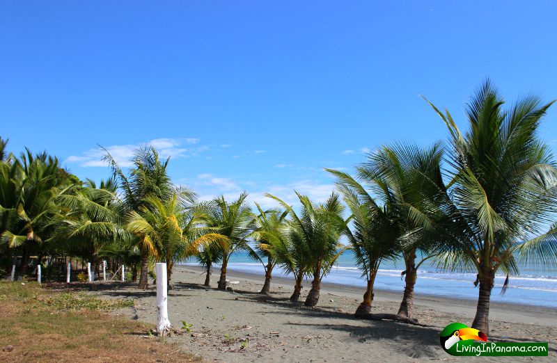 Beach Front House For Sale – Puerto Armuelles, Panama