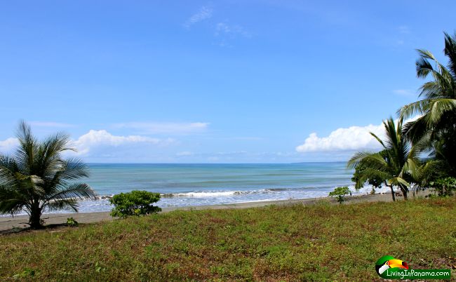 grassy flat land, big ocean and sky view