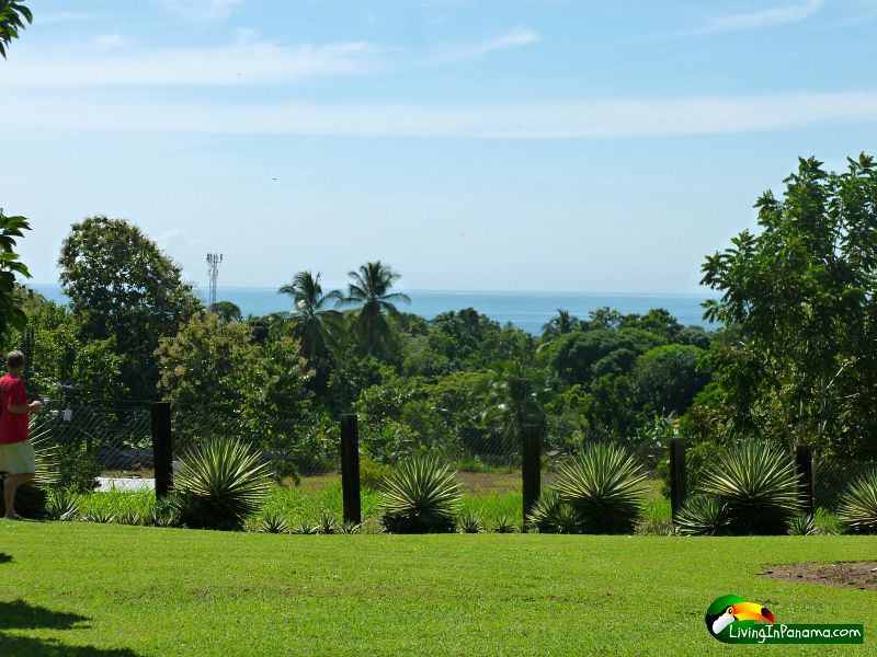 Ocean View Property In Quiet Las Palmas Neighborhood