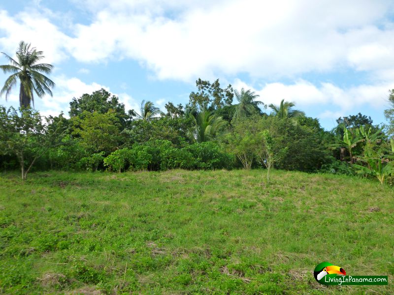 Ocean View Property In Quiet Las Palmas Neighborhood