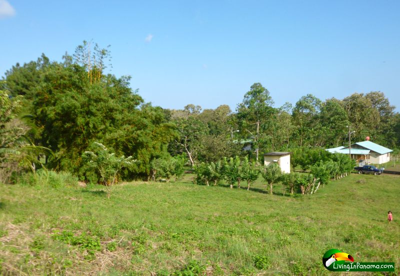Ocean View Property In Quiet Las Palmas Neighborhood