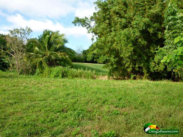 Ocean View Property In Quiet Las Palmas Neighborhood