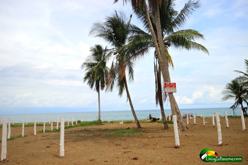 Live on The Beach At Puerto Armuelles’ Playa Esperanza