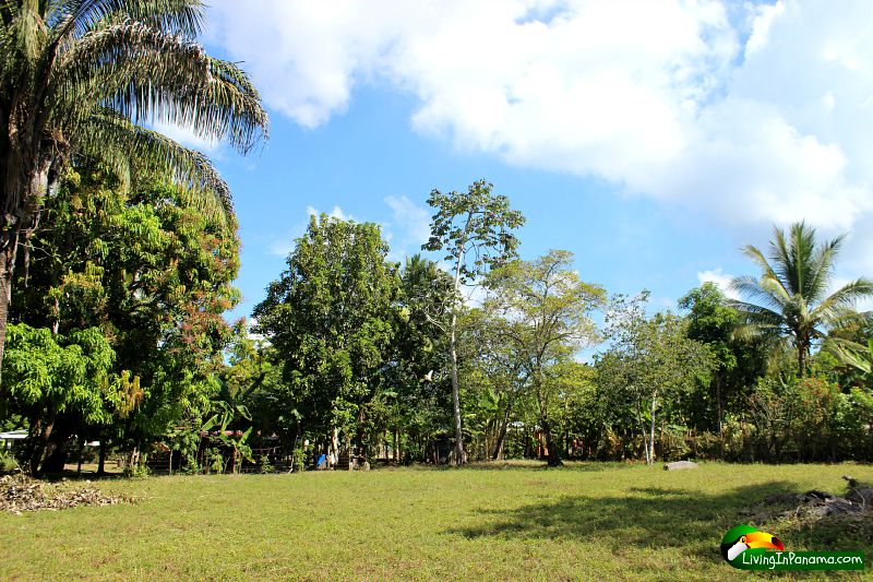 Land for sale in Corazon de Jesus, Puerto Armuelles