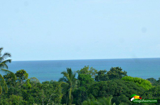 Ocean View Property In Quiet Las Palmas Neighborhood