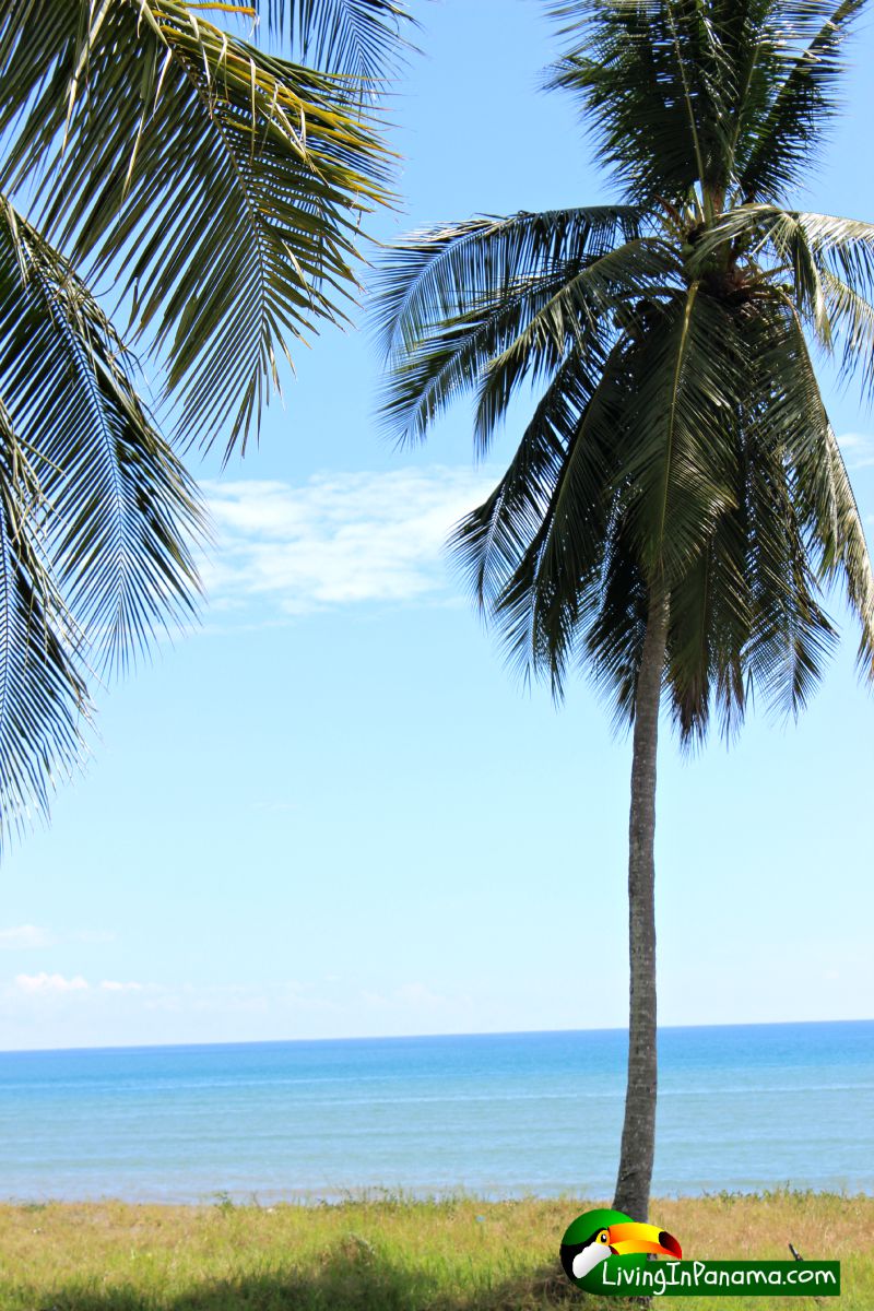 Live on The Beach At Puerto Armuelles’ Playa Esperanza