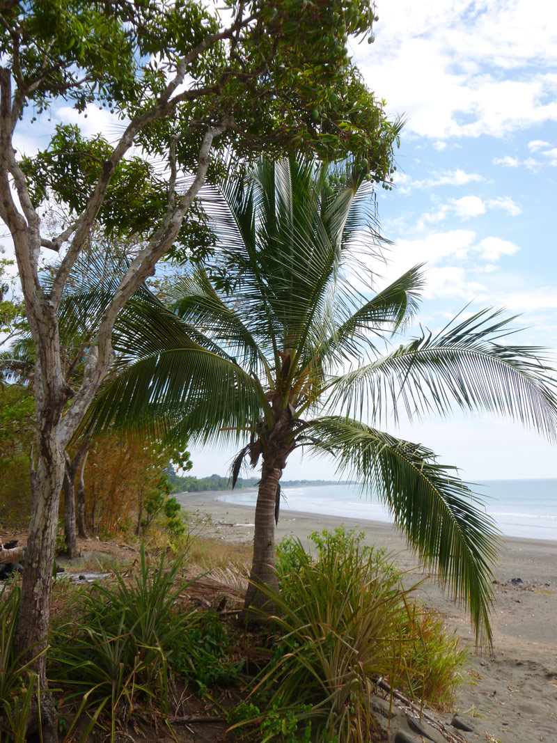 Most Beautiful Beach Property In Puerto Armuelles – Corazon de Oro