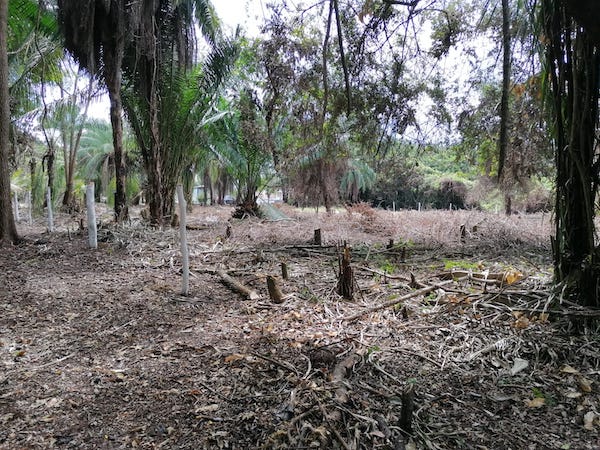 Cucuy Lot in Gated Community For Sale