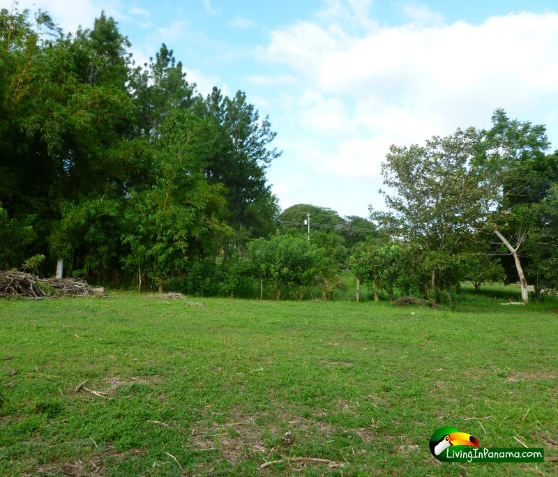 Ocean View Property In Quiet Las Palmas Neighborhood