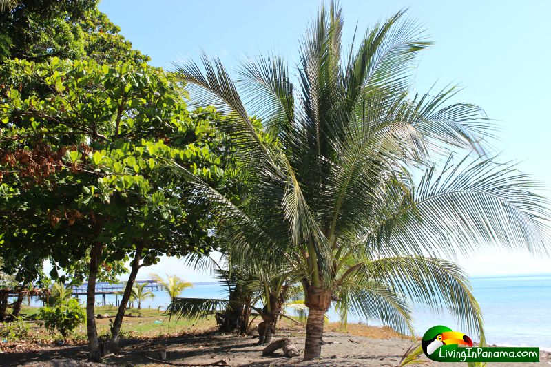 Beachfront At Puerto Armuelles’ Playa Esperanza Community