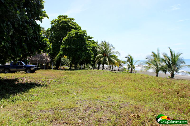 Start Your Dream Life Here