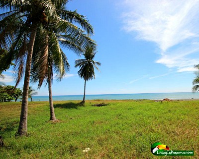 Live on The Beach At Puerto Armuelles’ Playa Esperanza